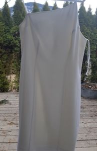 Beautiful curve hugging dress.